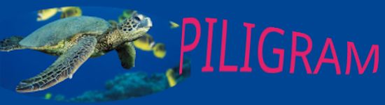 🐢PILIGRAM